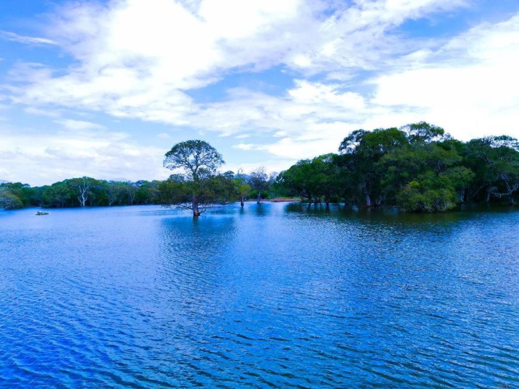 Ethili Lake View & Safari Camp Wellawaya Extérieur photo